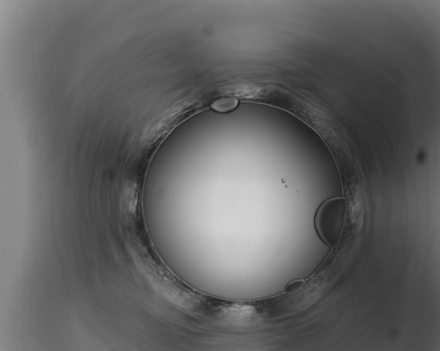 X0000116770374200912241208