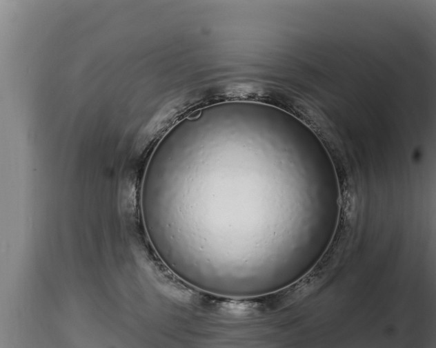 X0000116770375200912241208
