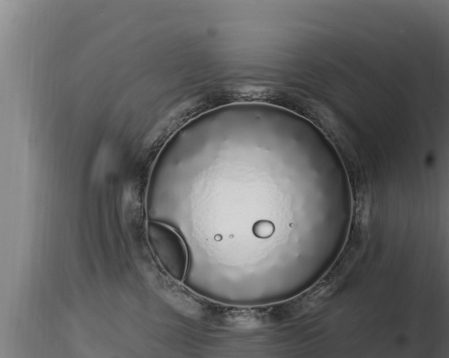X0000116770377200912241208