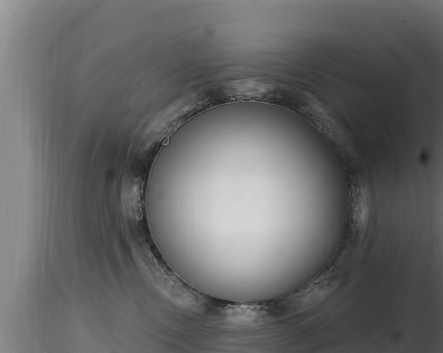 X0000116770378200912241208