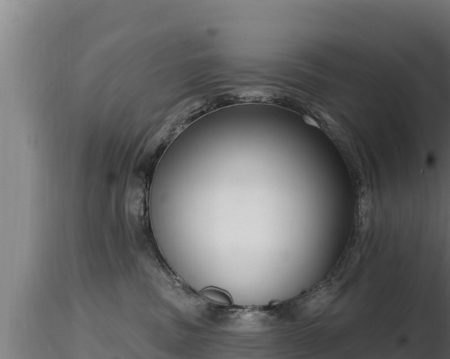X0000116770379200912241208