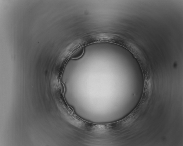X0000116770381200912241208