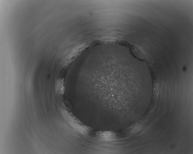 X0000116770383200912241208