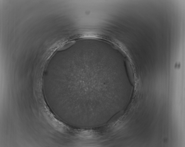 X0000116770385200912241208
