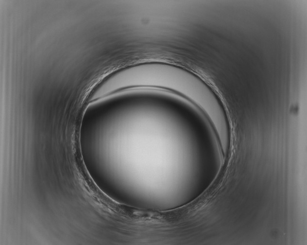 X0000116770386200912241208