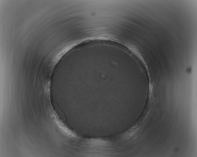 X0000116770389200912241208