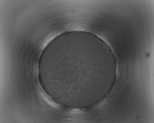 X0000116770390200912241208