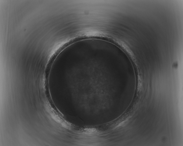 X0000116770391200912241208