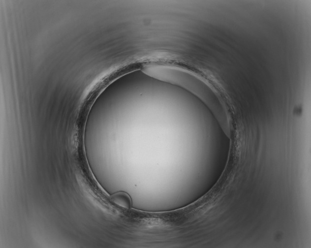 X0000116770392200912241208