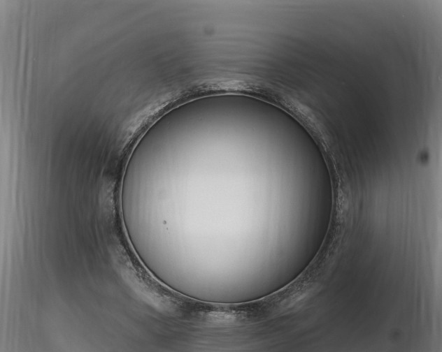X0000116770394200912241208