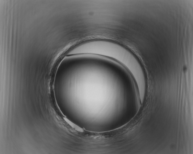 X0000116770395200912241208