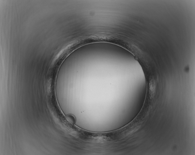 X0000116770396200912241208
