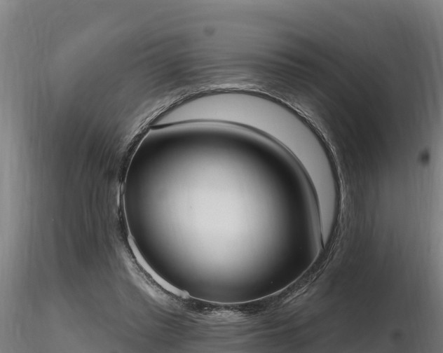 X0000116770397200912241208