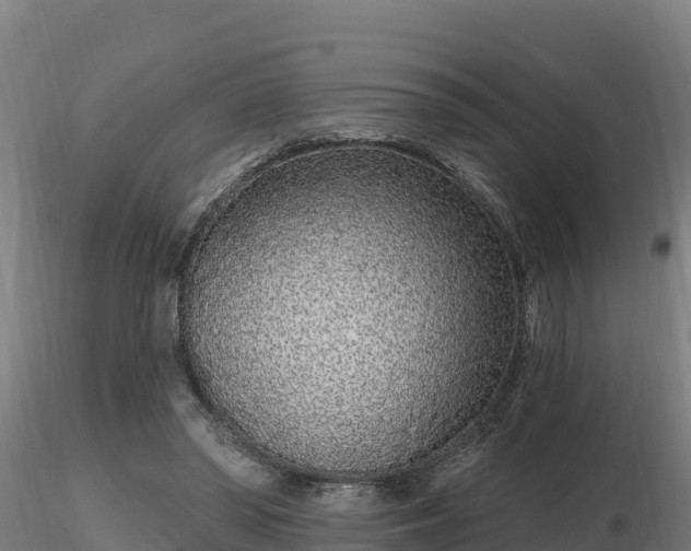 X0000116770398200912241208