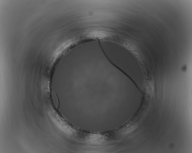 X0000116770399200912241208
