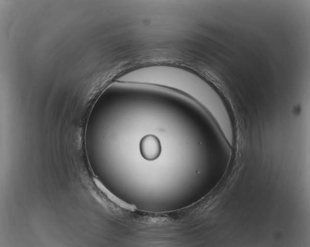 X0000116770401200912241208