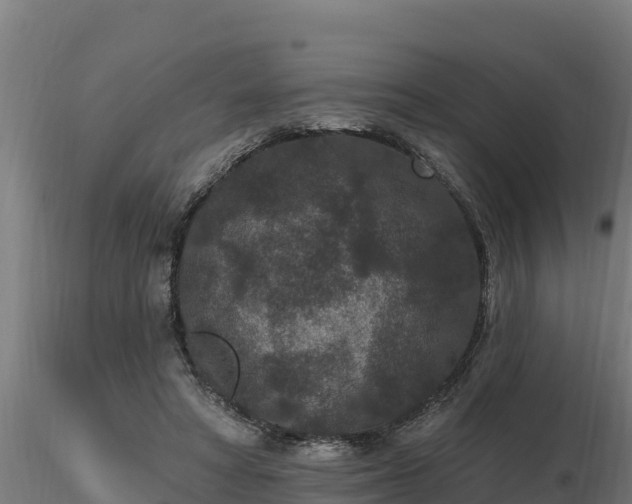 X0000116770402200912241208