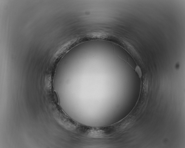 X0000116770403200912241208