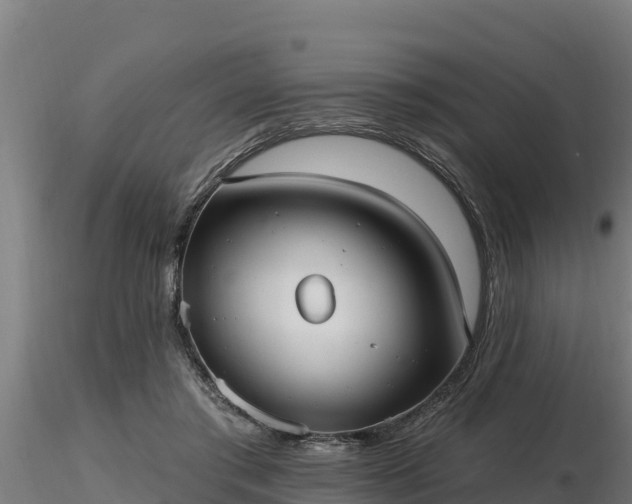 X0000116770405200912241207