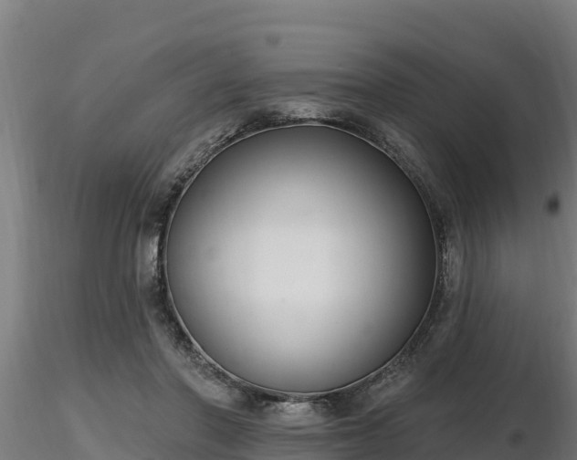 X0000116770406200912241207