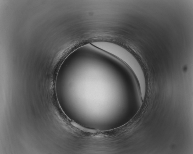 X0000116770407200912241207