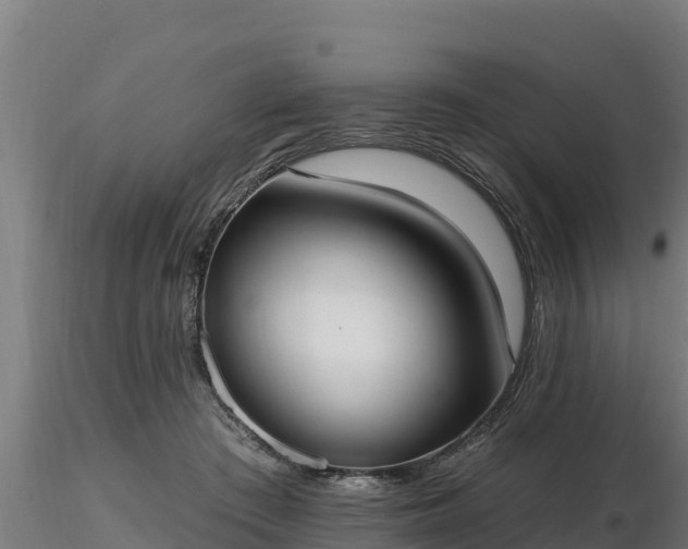 X0000116770409200912241207