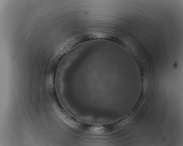 X0000116770410200912241207