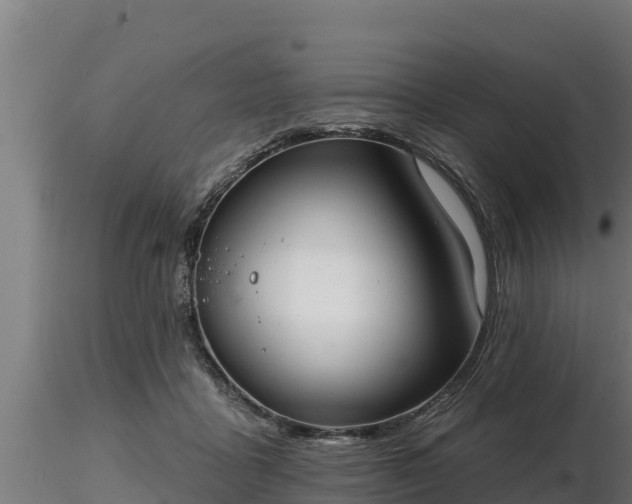 X0000116770411200912241207