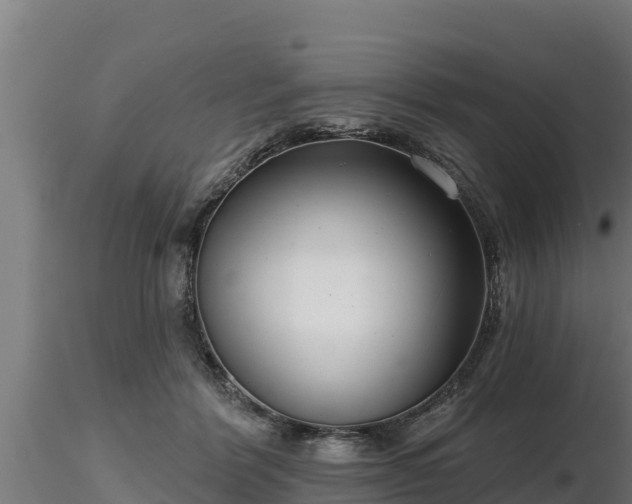 X0000116770412200912241207