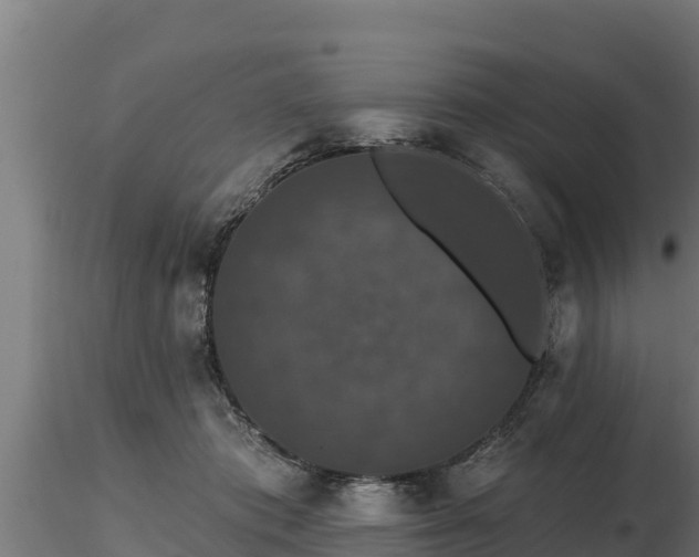 X0000116770413200912241207