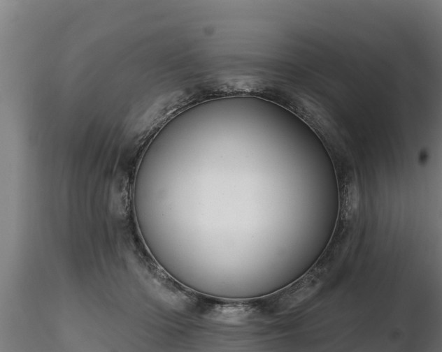 X0000116770414200912241207