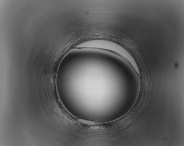 X0000116770415200912241207