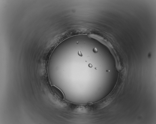 X0000116770416200912241207