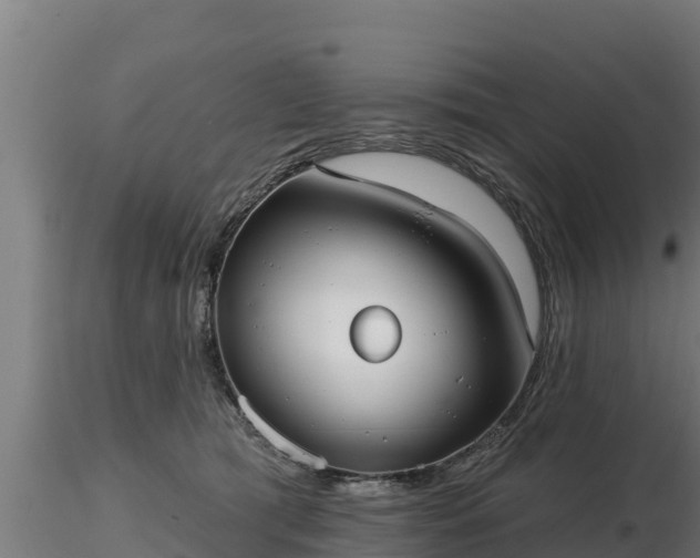 X0000116770417200912241207