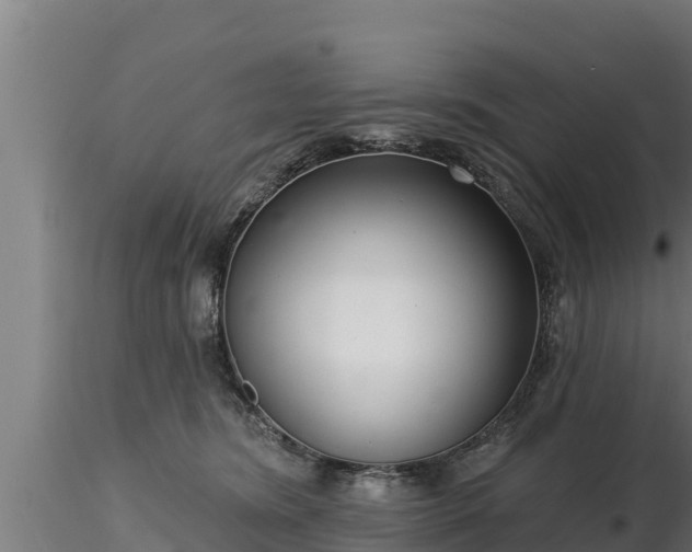 X0000116770420200912241207