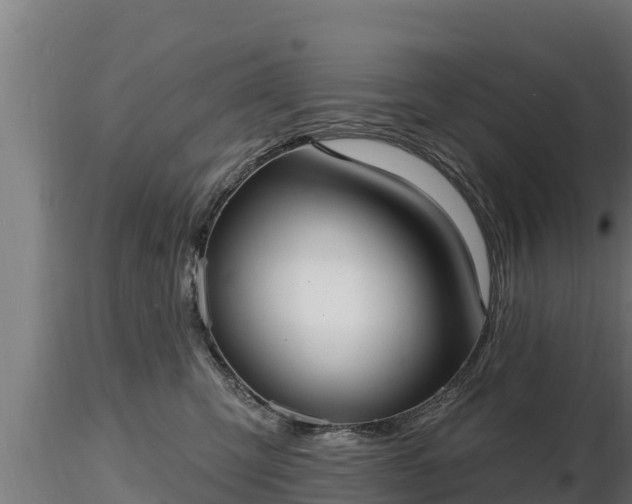 X0000116770423200912241207