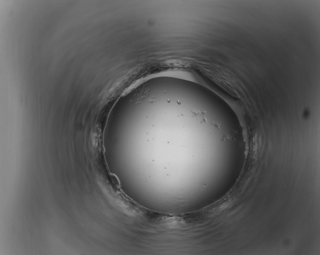 X0000116770424200912241207