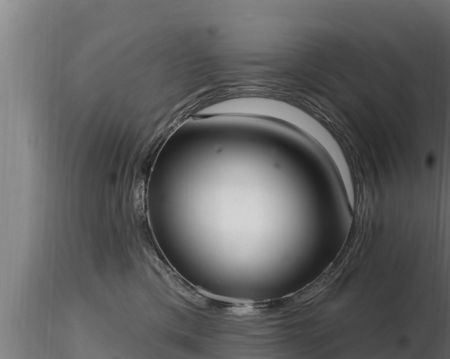 X0000116770425200912241207