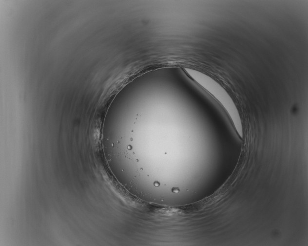 X0000116770427200912241207