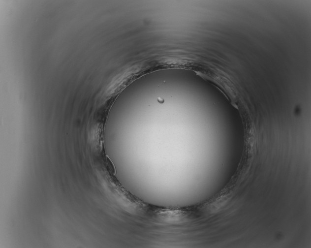 X0000116770428200912241207