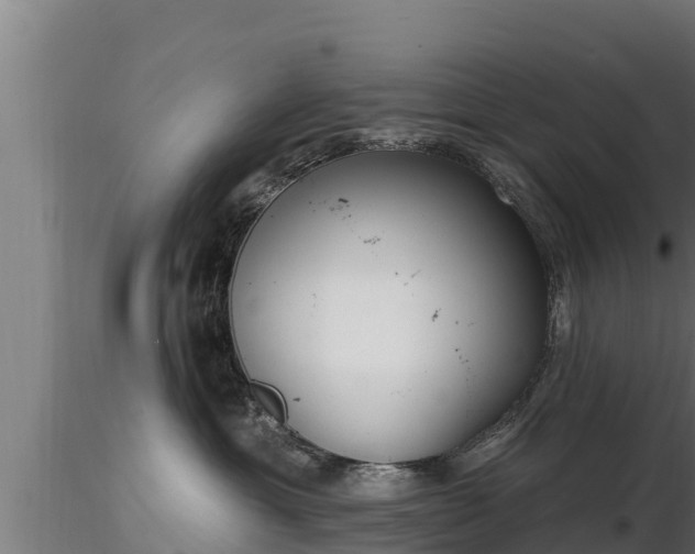 X0000116770429200912241207