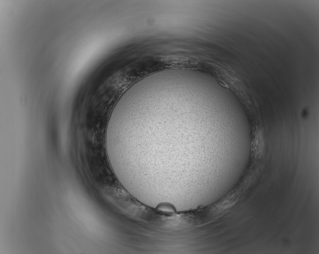 X0000116770430200912241207
