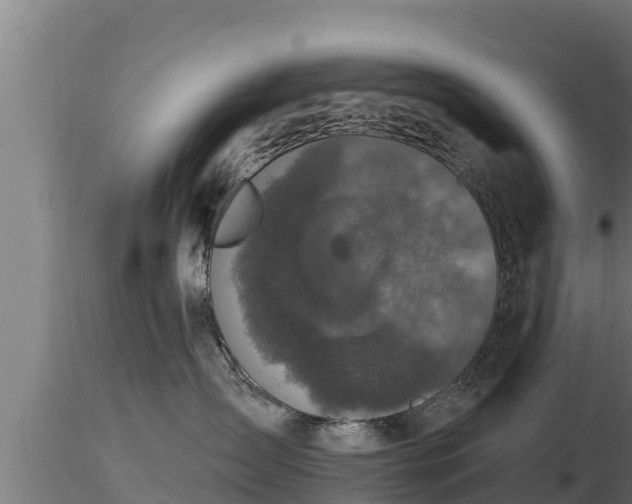 X0000116770431200912241207
