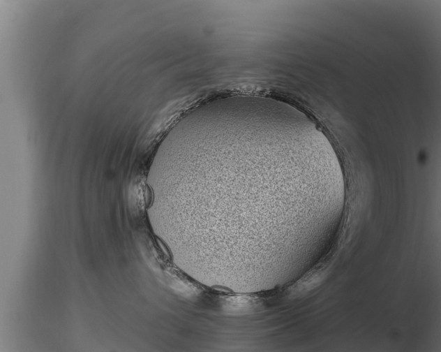 X0000116770432200912241207