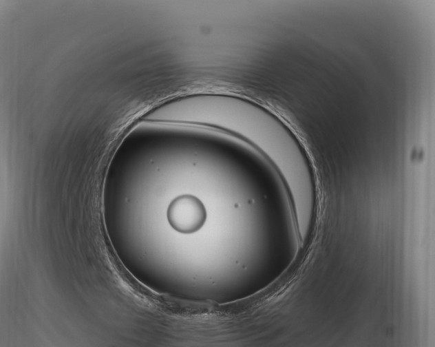 X0000116770433200912241206