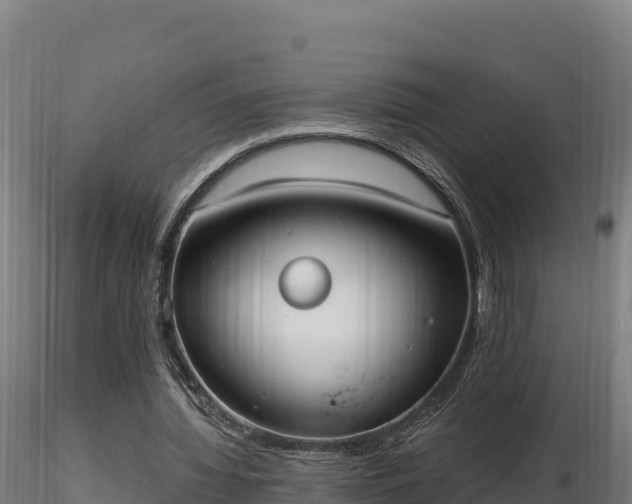 X0000116770436200912241207