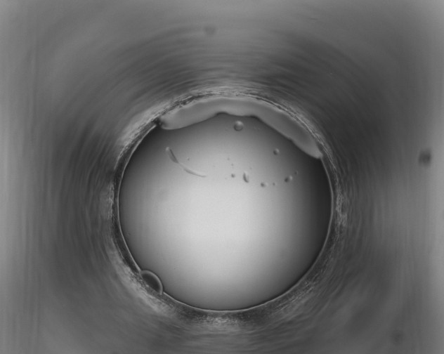 X0000116770437200912241207