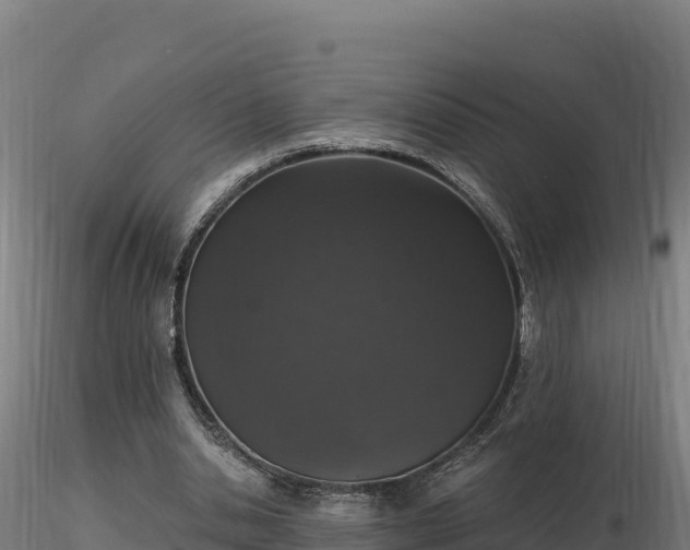 X0000116770438200912241207