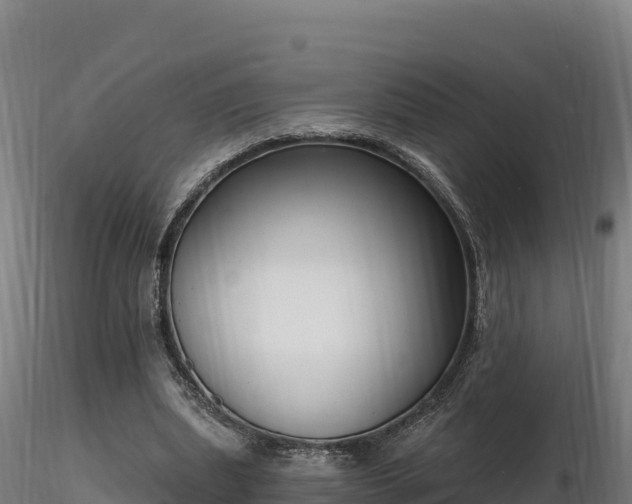 X0000116770439200912241207