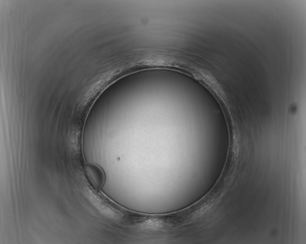X0000116770441200912241207
